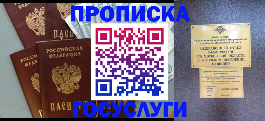 прописка гарантия в Мурманске